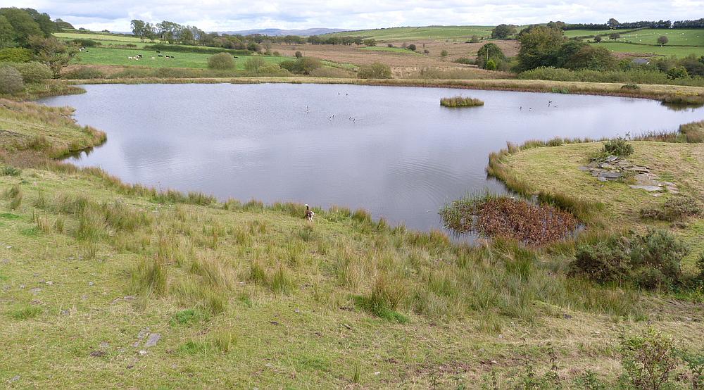 Property for Sale Lampeter CEREDIGION Rural Scene