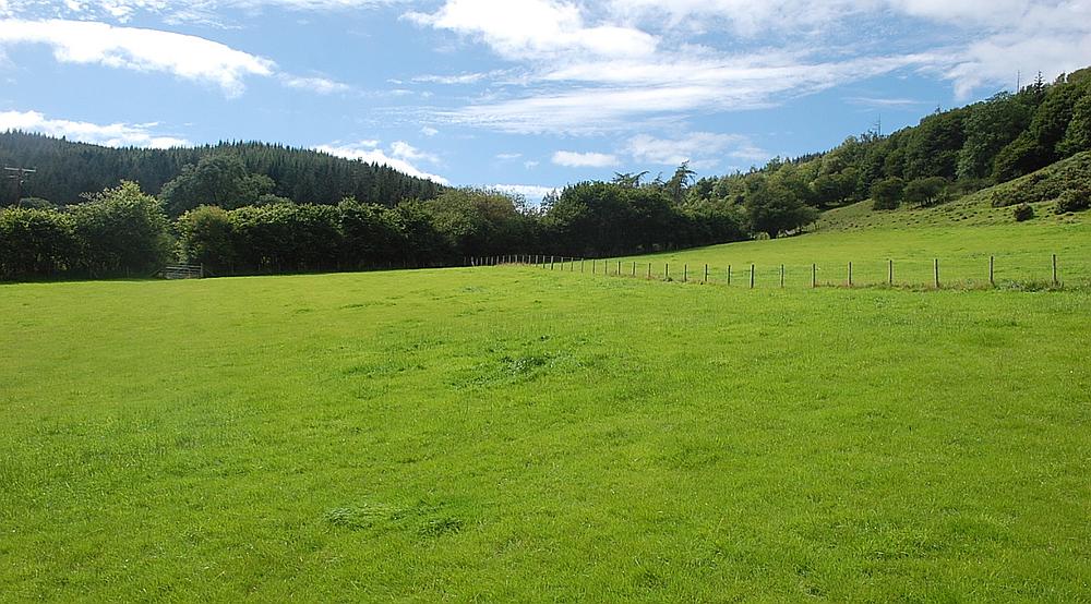Property for Sale Bleddfa POWYS Rural Scene
