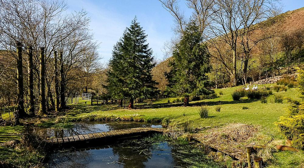 Property for Sale Montgomery SHROPSHIRE Rural Scene