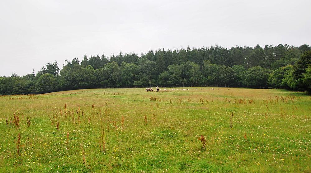 Property for Sale Coleford GLOUCESTERSHIRE Rural Scene