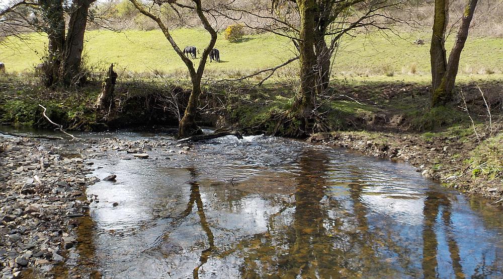 Property for Sale Bridestowe, Okehampton DEVON Rural Scene
