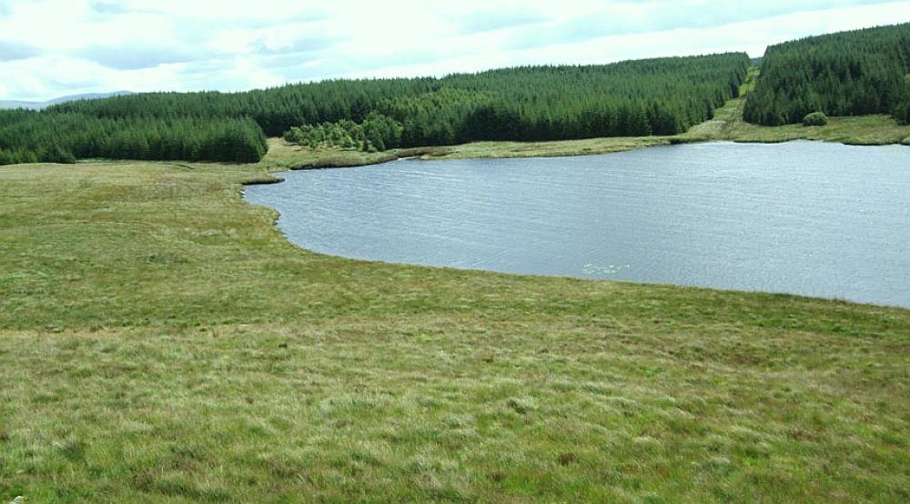 Property for Sale Barrhill SOUTH AYRSHIRE Rural Scene