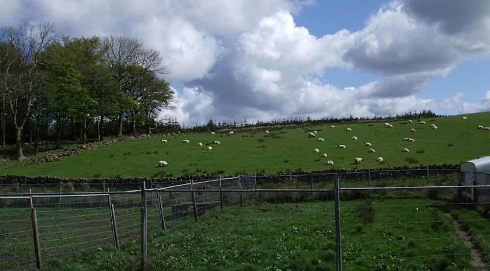 Property for Sale Barrhill SOUTH AYRSHIRE Rural Scene