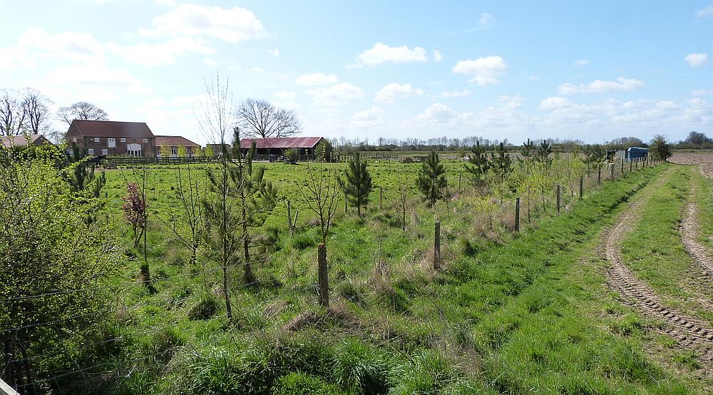 Property for Sale Swineshead Bridge, Boston LINCOLNSHIRE Rural Scene