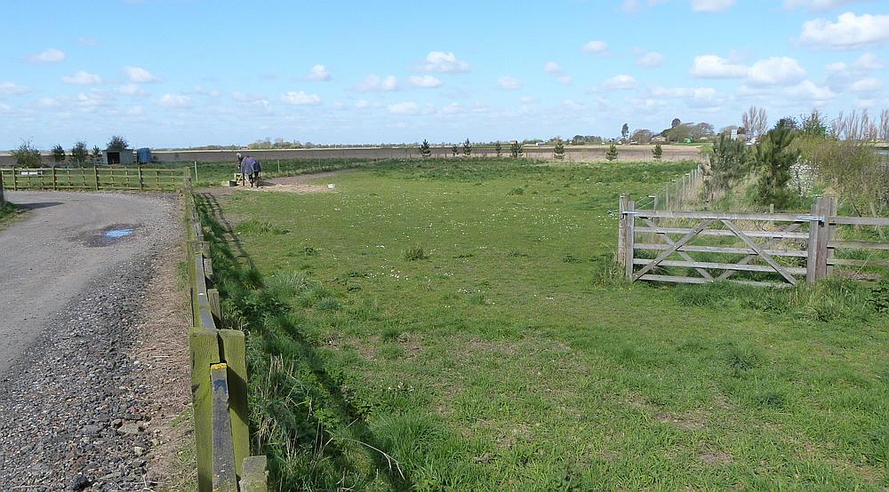 Property for Sale Swineshead Bridge, Boston LINCOLNSHIRE Rural Scene