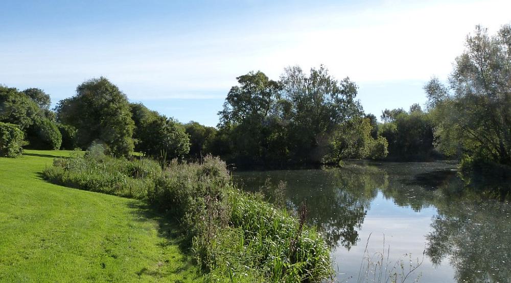 Property for Sale Wiltshire Rural Scene