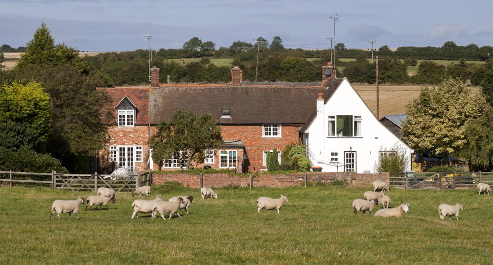 Reaching the Right Buyers