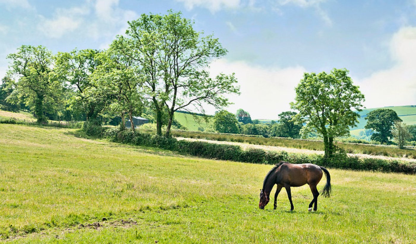 Rural Scene National Equestrian Properties And Rural Property
