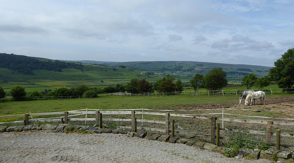 Property for Sale Lealholm NORTH YORKSHIRE Rural Scene