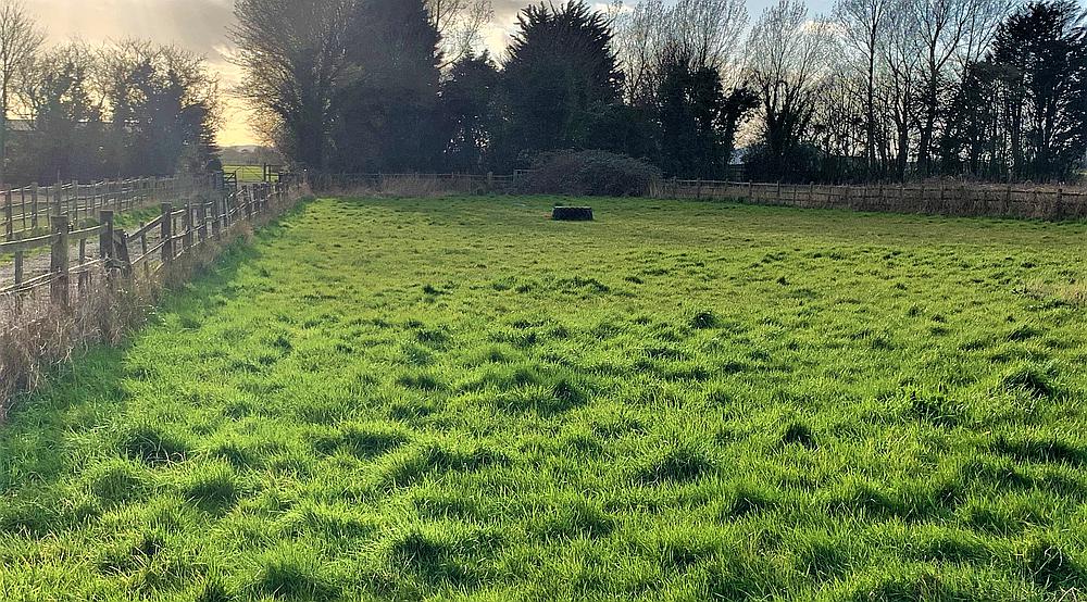 Property for Sale North Somercotes LINCOLNSHIRE Rural Scene