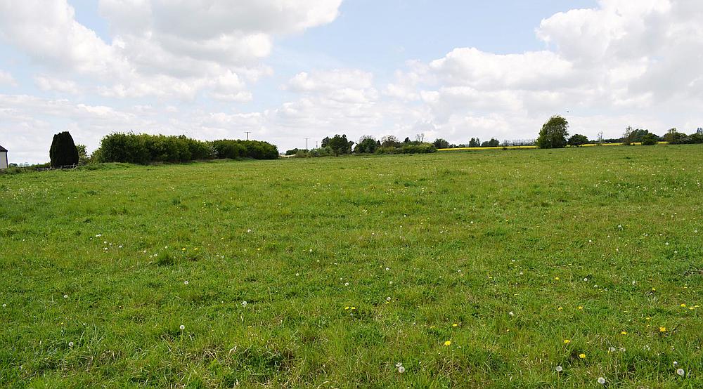 Property for Sale Spalding LINCOLNSHIRE Rural Scene
