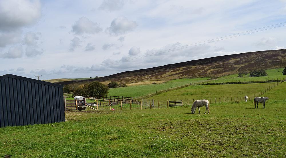 Property for Sale Llansannan DENBIGHSHIRE Rural Scene