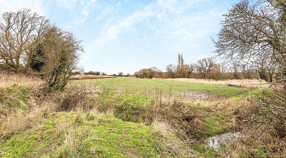 Property for Sale Northwold NORFOLK Rural Scene