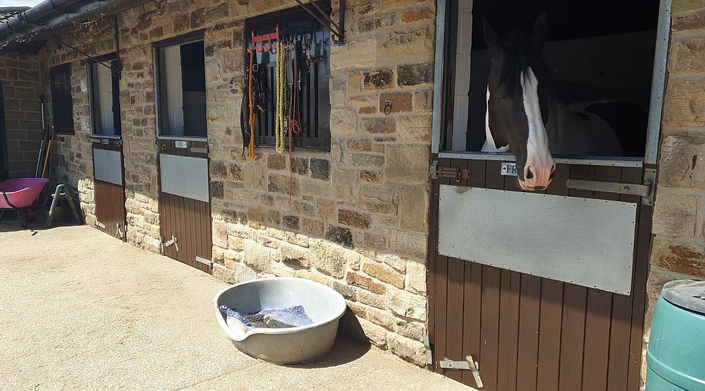 Property for Sale Woodhouse Mill SHEFFIELD Rural Scene