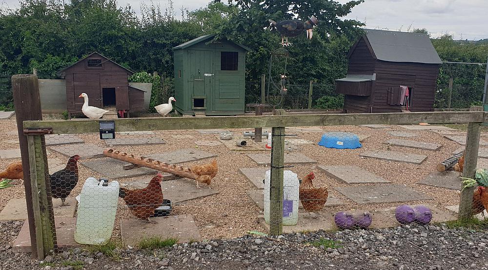 Property for Sale Woodhouse Mill SHEFFIELD Rural Scene