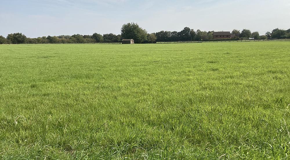 Property for Sale Somersham CAMBRIDGESHIRE Rural Scene