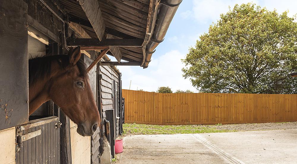 Property for Sale Newborough LINCOLNSHIRE Rural Scene