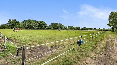 Moss SOUTH YORKSHIRE
