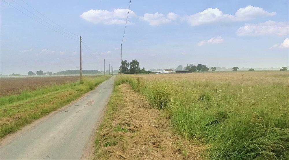 Property for Sale Eastoft LINCOLNSHIRE Rural Scene