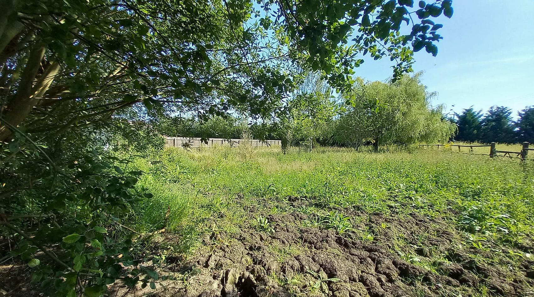 Downham Market NORFOLK