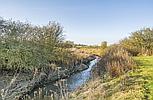 Great Steeping LINCOLNSHIRE