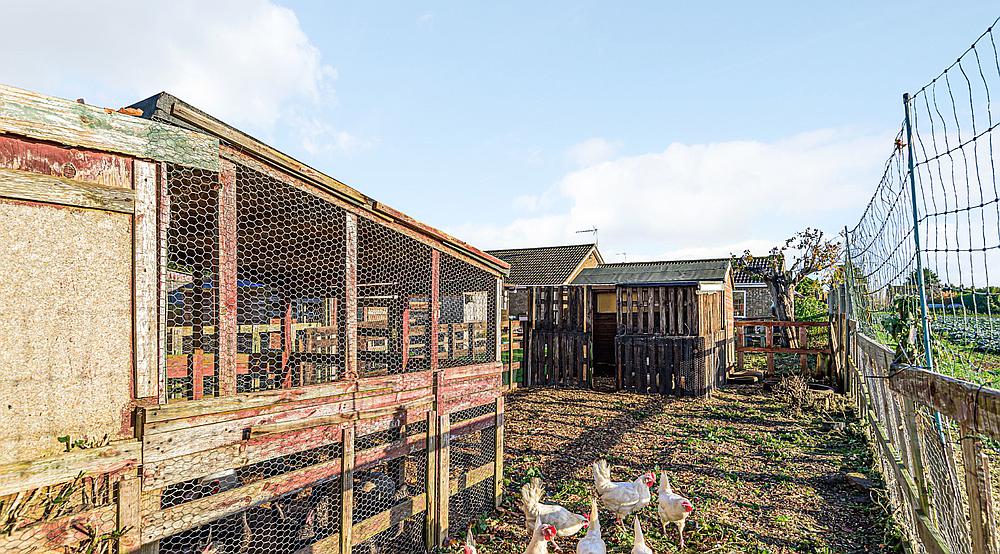 Property for Sale Old Leake LINCOLNSHIRE Rural Scene