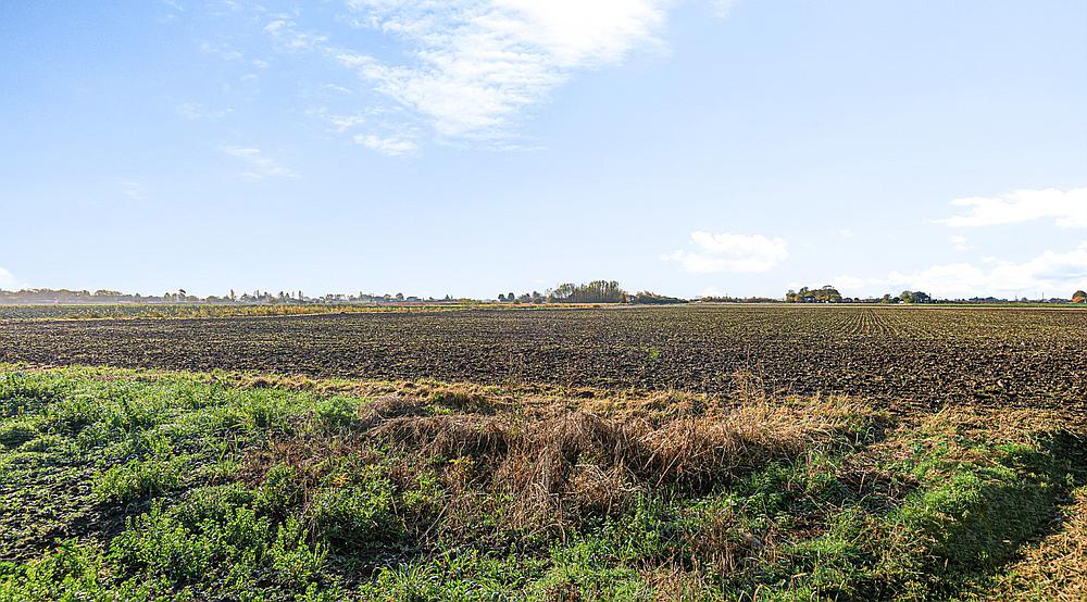 Property for Sale Old Leake LINCOLNSHIRE Rural Scene