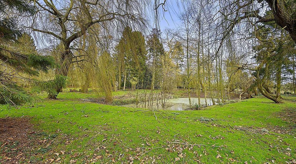 Property for Sale Friskney LINCOLNSHIRE Rural Scene