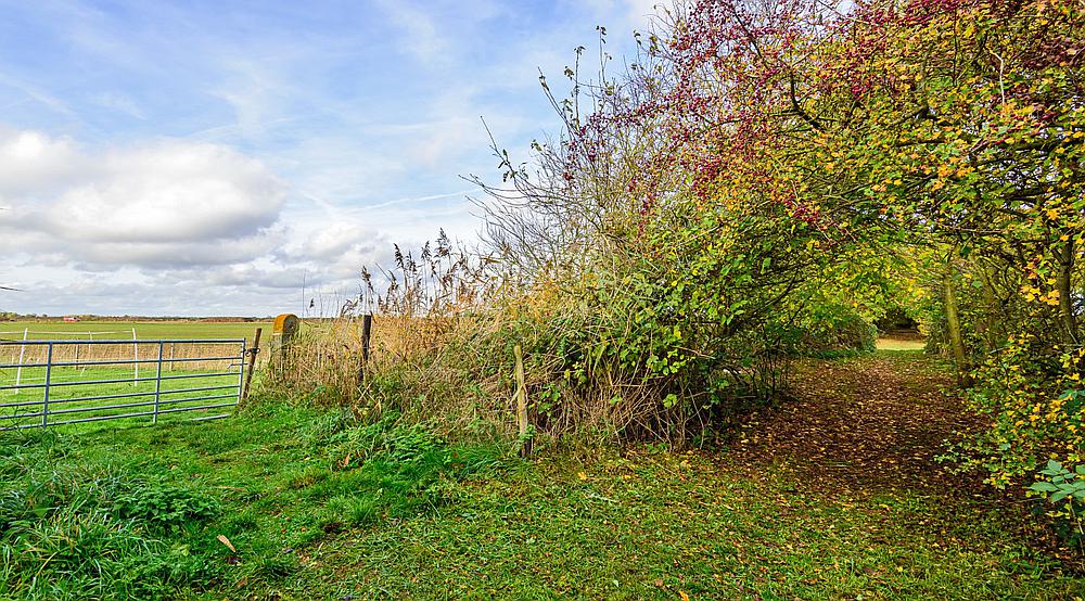 Property for Sale Sutton On Sea LINCOLNSHIRE Rural Scene