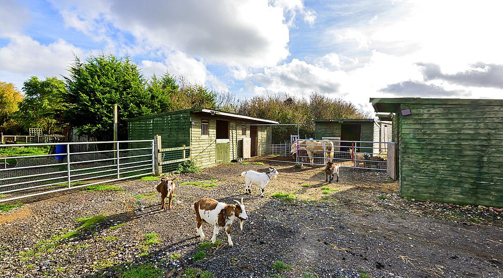 Property for Sale Sutton On Sea LINCOLNSHIRE Rural Scene