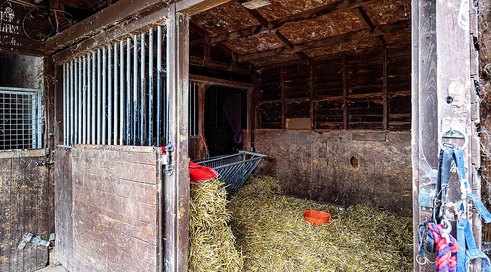 Property for Sale Gayton Le Marsh LINCOLNSHIRE Rural Scene