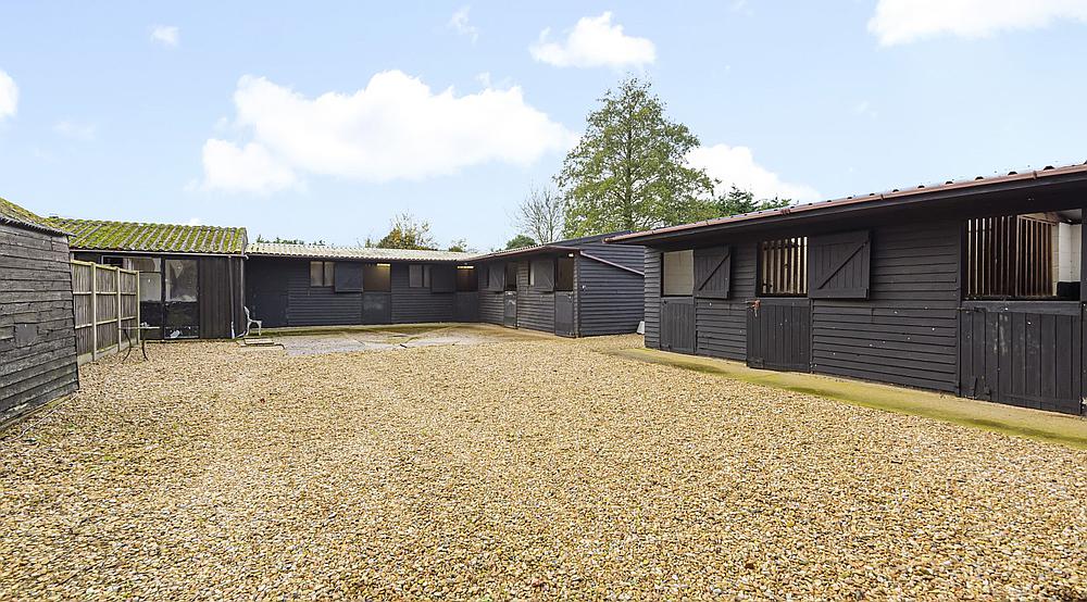 Property for Sale Gedney LINCOLNSHIRE Rural Scene