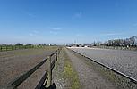 Downham Market NORFOLK