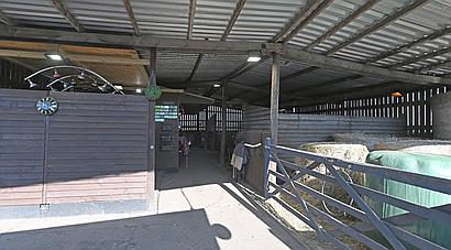 Downham Market NORFOLK