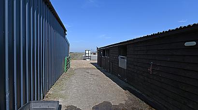 Downham Market NORFOLK