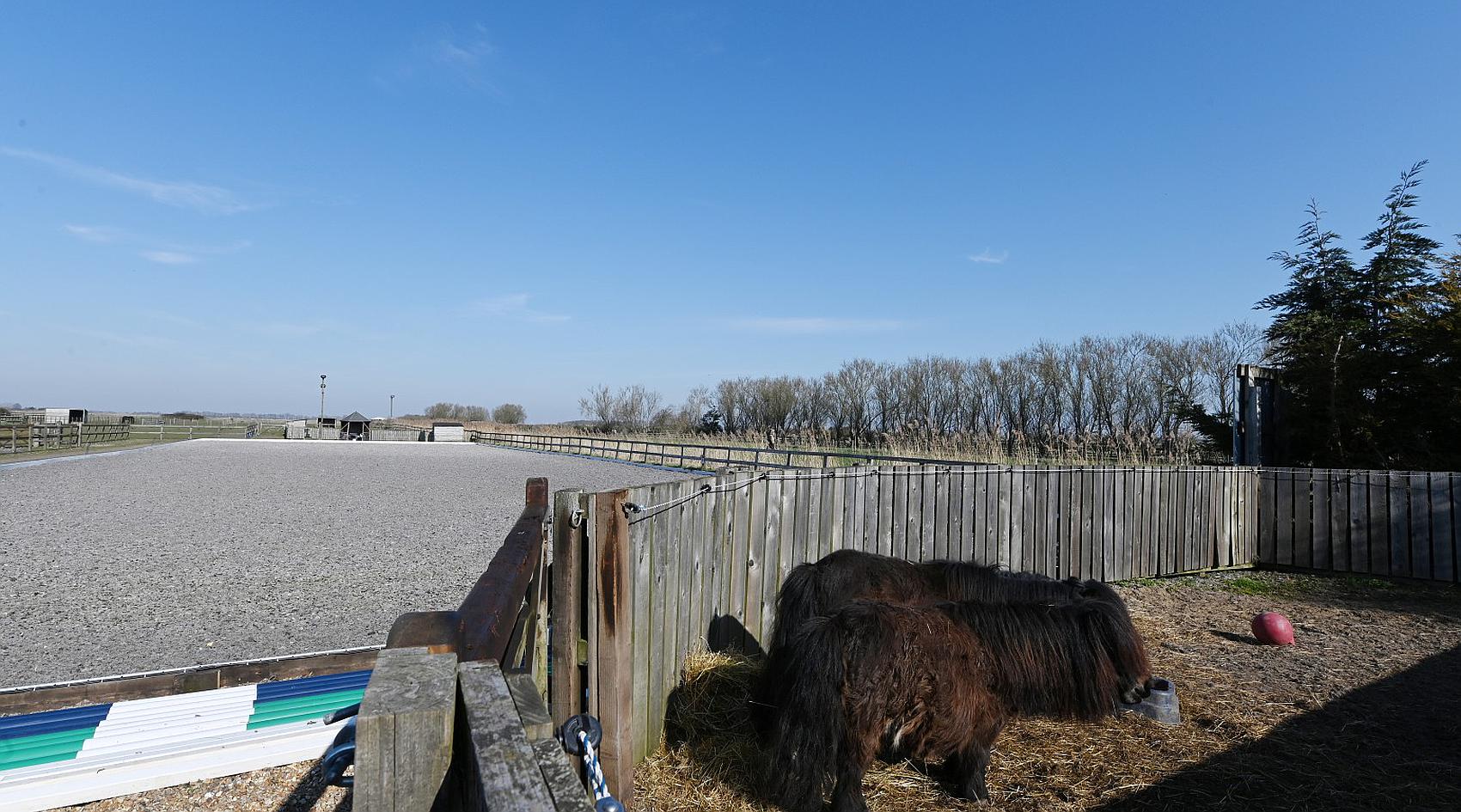 Downham Market NORFOLK