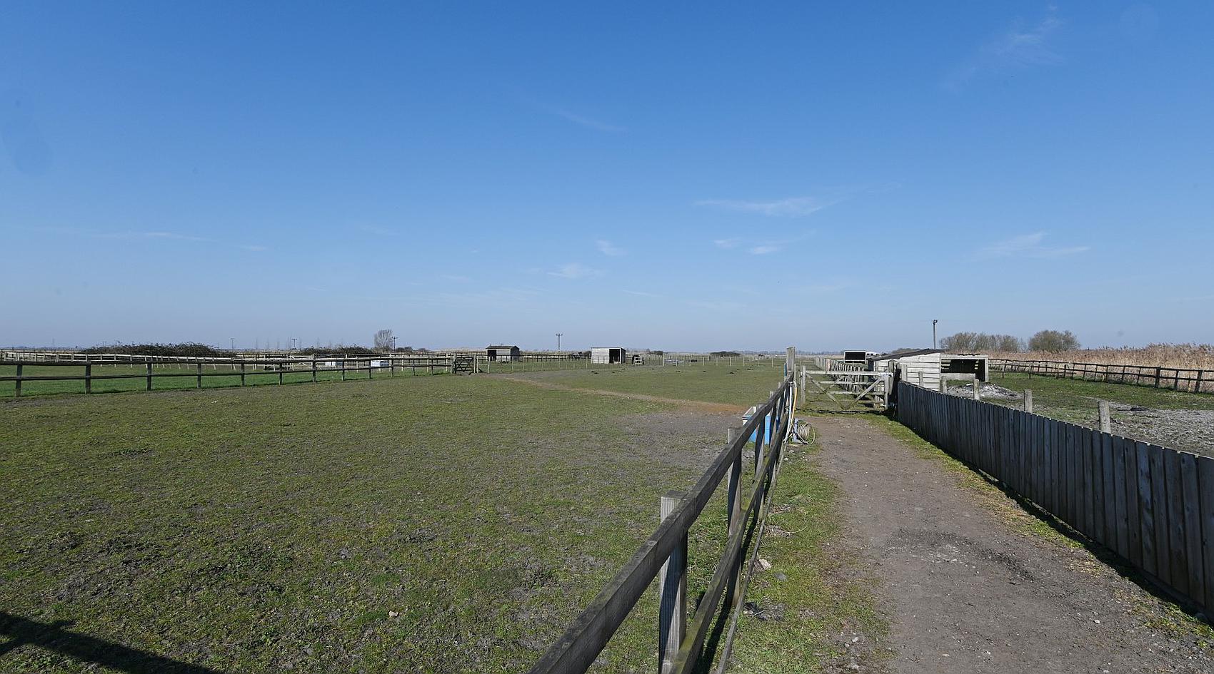 Downham Market NORFOLK