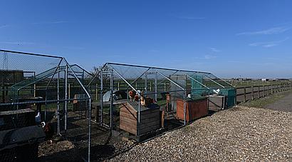 Downham Market NORFOLK