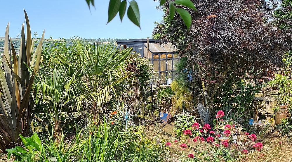 Property for Sale Froncysyllte DENBIGHSHIRE Rural Scene