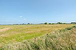 Old Leake LINCOLNSHIRE