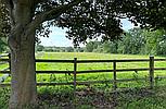 Caistor LINCOLNSHIRE