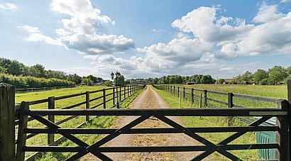 Chatteris CAMBRIDGESHIRE