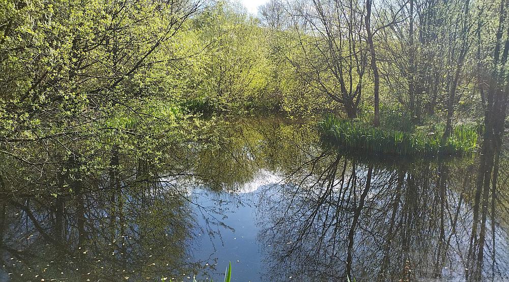 Property for Sale Dolanog POWYS Rural Scene