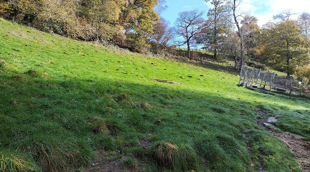 Property for Sale Dolanog POWYS Rural Scene