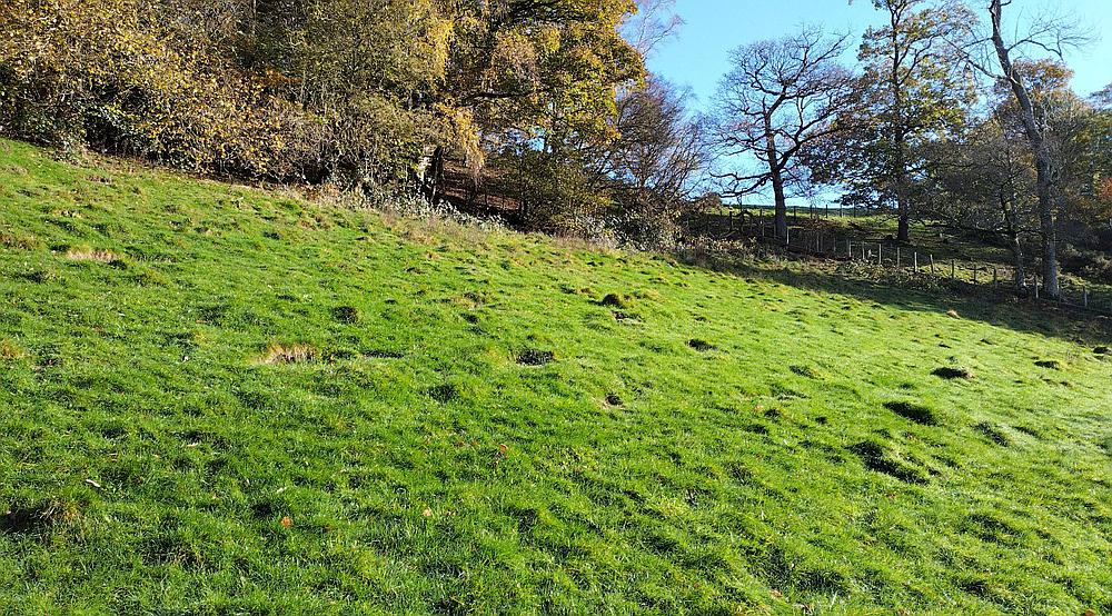 Property for Sale Dolanog POWYS Rural Scene