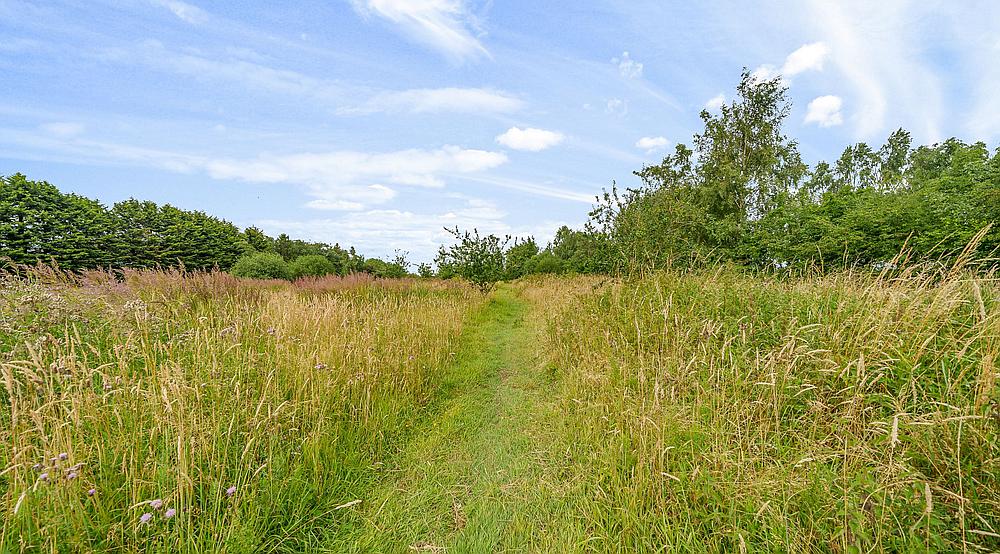 Property for Sale March CAMBRIDGESHIRE Rural Scene