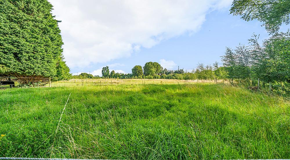 Property for Sale Foul Anchor CAMBRIDGESHIRE Rural Scene