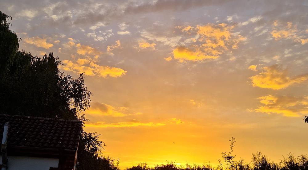 Property for Sale Foul Anchor CAMBRIDGESHIRE Rural Scene