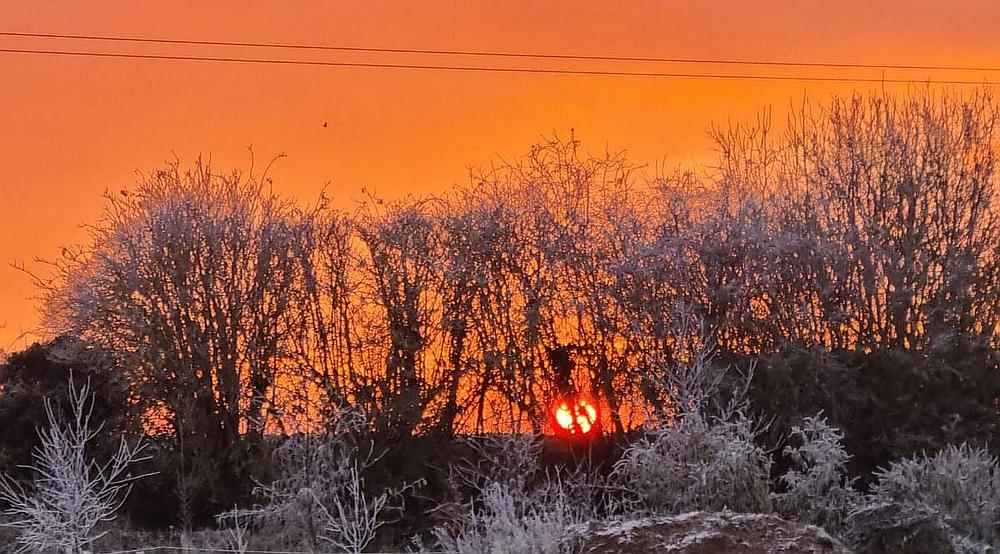 Property for Sale Foul Anchor CAMBRIDGESHIRE Rural Scene