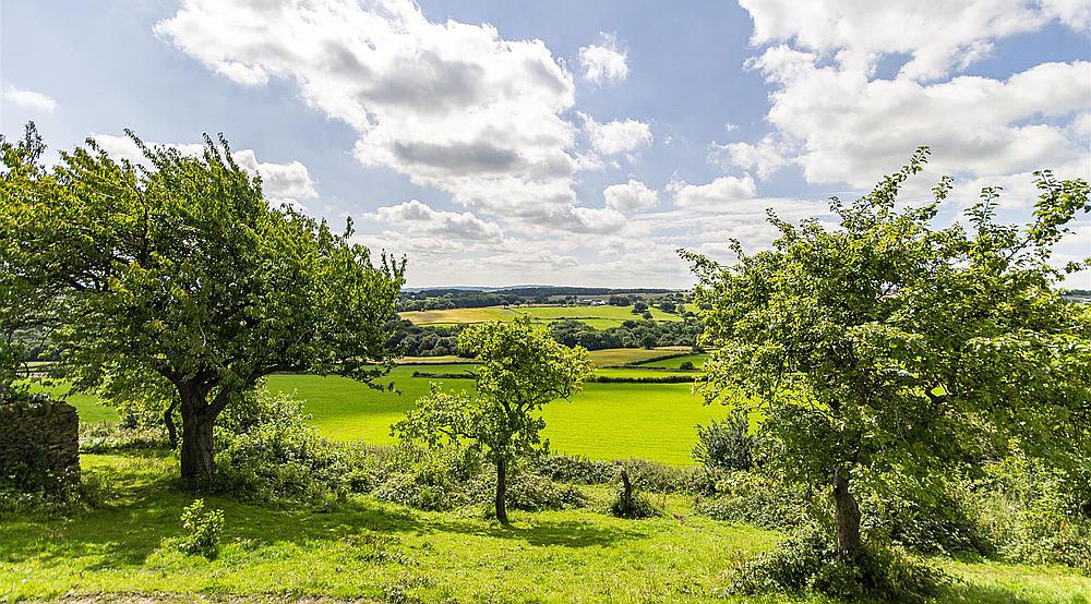 Barlow DERBYSHIRE